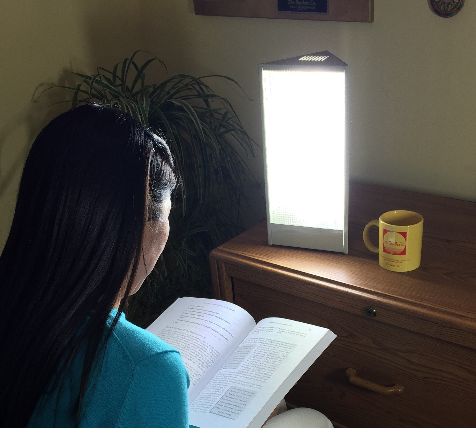 SunLight Jr- Bright Light Therapy Lamp - The SunBox